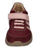 KOEL Sneaker Low Shane in rosa