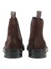 Steve Madden Stiefelette HATTON in Dunkelbraun