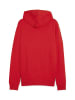 Puma Sweatshirt teamGOAL Casuals Hooded Jacket in rot