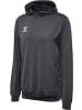 Hummel Hoodie "Hmlauthentic Pl Hoodie" in Grau