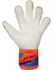 Reusch Torwarthandschuhe Attrakt Gold X Evolution in 2290 shocking orange/blue