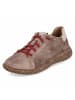 Josef Seibel Schnürhalbschuh in taupe