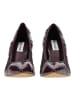Steve Madden Pumps FARIDA in Braun