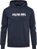 Hummel Hoodie in Blau