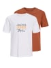 JACK & JONES Junior 2er-Pack T-shirt in Arabian Spice