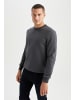 DeFacto Sweatshirt REGULAR FIT in Anthra