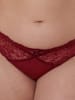 SugarShape Brazilian-Slip Eliana Velvet in burgundy