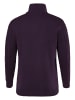 Boston Park Pullover in dunkel violett