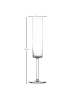 Schott Zwiesel 4er Set Sektgläser Modo 163 ml transparent in transparent