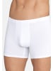 Sloggi Long Short / Pant Basic Soft in Weiß