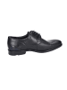 LLOYD Schnürschuhe Elegant in schwarz