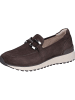 Caprice Slipper in DK BROWN SUEDE