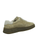 Paul Green Sneaker Low in Beige