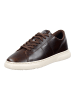 GANT Footwear Sneaker in Dunkelbraun