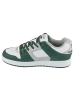 DC DC Shoes Manteca SE in Grün