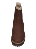 TOMS Chelsea Boots BENNET in braun
