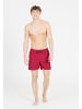 Cruz Shorts Eyemouth in 4306 Barberry