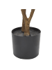 Beliani Kunstpflanze CODIAEUM in Grün/Schwarz/Braun - (W) 75 x (H) 140 x (L) 75 cm
