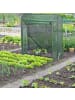 relaxdays Tomatengewächshaus in Grün - (B)152 x (H)154 x (T)50 cm