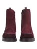 Hispanitas Stiefelette CHICAGO-6 CHICAGO-6 in Bordeaux