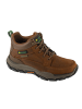 Skechers Skechers Respected - Landin in Braun