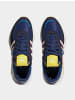 adidas Turnschuhe in blue/white/bright royal