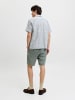 Jack & Jones Chino Shorts in Agave Green