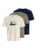 Jack and Jones 3er Pack T-Shirts JORSKULL Nature Tee SS Crew Neck in Mehrfarbig