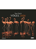 DuMont Kalenderverlag Kalender - Tim Flach: Vögel 2026 - Posterkalender von DUMONT- Vogel-Portr&