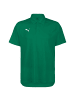 Puma Poloshirt Liga Sideline in grün / weiß