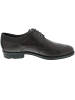 LLOYD Davenport Businessschuh Braun