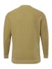 Men Plus Pullover in grün