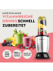 Gourmet Maxx Nutrition Mixer 4-tlg. max. 500W  Silberfarben