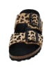 Palado Pantoletten Samos GS Leo in Camel