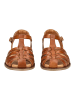Pikolinos Sandalen in Braun
