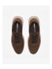Timberland Sneaker Bradstreet in bunt