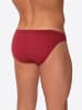 Olaf Benz Brasilslip RED2555 in berry