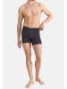 Sloggi Retro Short / Pant SLG Base in Charcoal
