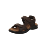 PANAMA JACK Sandalette in braun