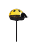 näve LED Solarleuchte "LADYBUG" in bunt - (L)7.8 cm x (B)6 cm x (H)14.2 cm