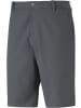 Puma Sporthose "Dealer Short 10"" in Grau