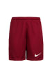 Nike Performance Trainingsshorts Dry Park III in rot / weiß