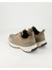 SALAMANDER Klassische Schnürschuhe in Beige