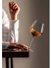Zwiesel Glas 2er Set Allround Weingläser VUELO 640 ml transparent in transparent