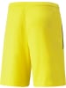 Puma Sporthose "TeamLIGA Shorts" in Gelb