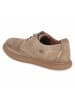 Camel Active Schnürhalbschuh in taupe