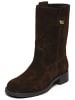 Steve Madden Stiefel ZETHY in Dunkelbraun