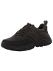 Clarks Schnürschuhe in dark brown