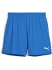 Puma Sporthose "TeamGoal Handball Shorts W" in Blau