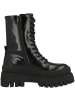 Steve Madden Boots Coast in schwarz